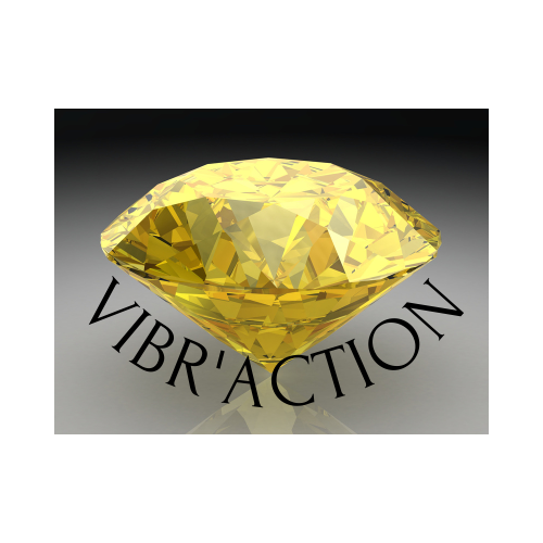 Vibr'Action - Brigitte Mega